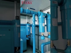 6000-8000 Stunden Lebensdauer Druckluftfilter mit niedrigem Druckverlust von 0,25 Bar